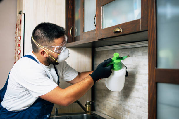 Best Best Pest Control Companies  in Unionville, NC